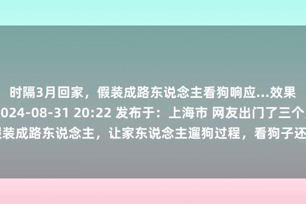 时隔3月回家，假装成路东说念主看狗响应...效果被狂骂了一顿！ 2024-08-31 20:22 发布于：上海市 网友出门了三个月，精良后有意假装成路东说念主，让家东说念主遛狗过程，看狗子还能不成认出我方... 能看得出来，毛孩子其实老远就