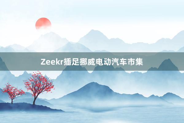 Zeekr插足挪威电动汽车市集