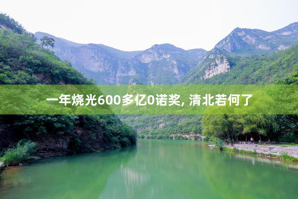 一年烧光600多亿0诺奖, 清北若何了