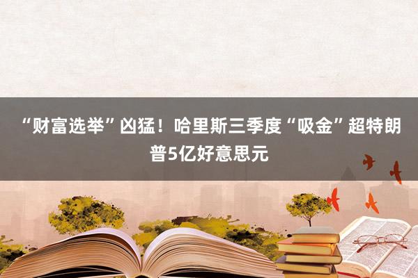 “财富选举”凶猛！哈里斯三季度“吸金”超特朗普5亿好意思元