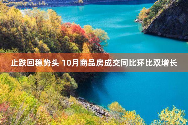 止跌回稳势头 10月商品房成交同比环比双增长