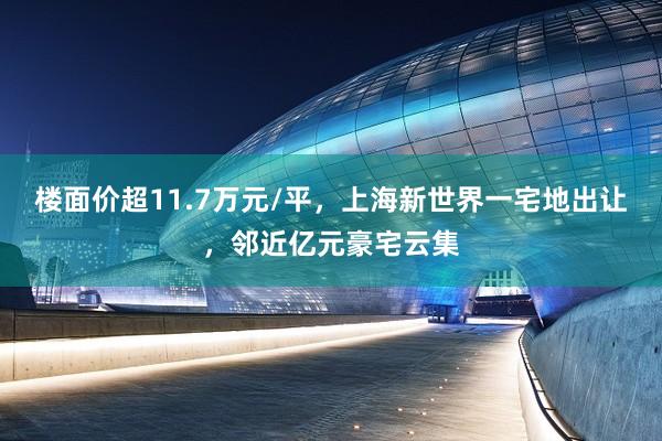 楼面价超11.7万元/平，上海新世界一宅地出让，邻近亿元豪宅云集