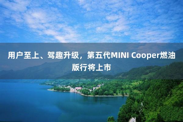 用户至上、驾趣升级，第五代MINI Cooper燃油版行将上市